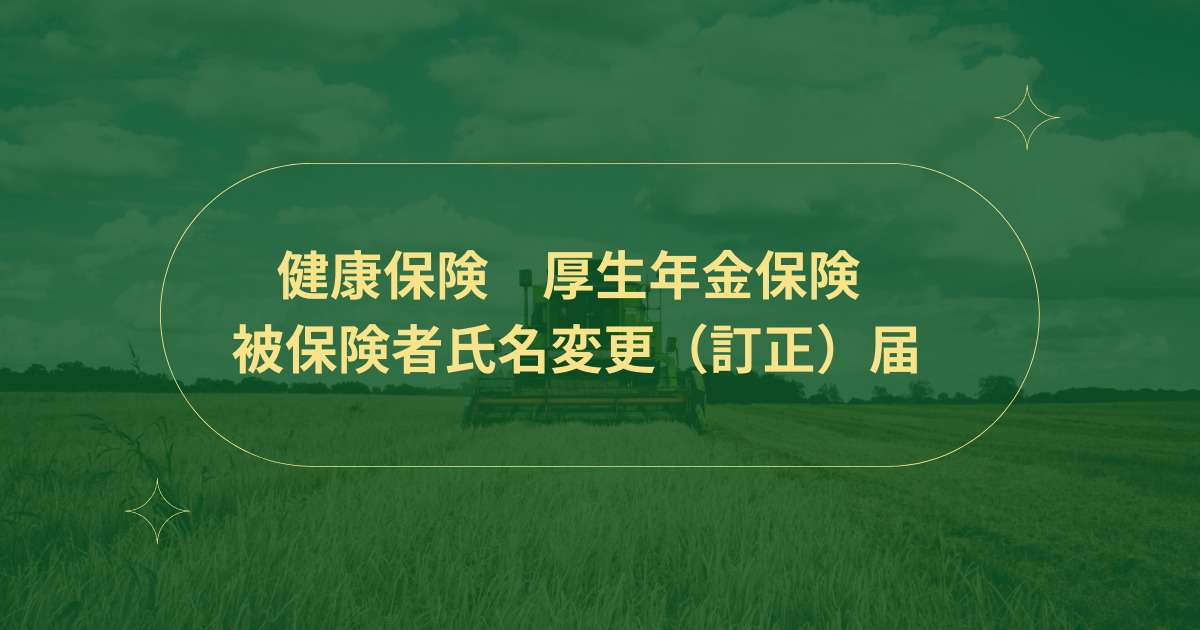 健康保険 被保険者氏名変更届